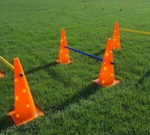 SET ANTRENAMENT JUNIOR, COD 634999