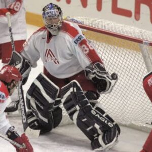 PLASE PENTRU PORTI HOCHEI,COD 147-02