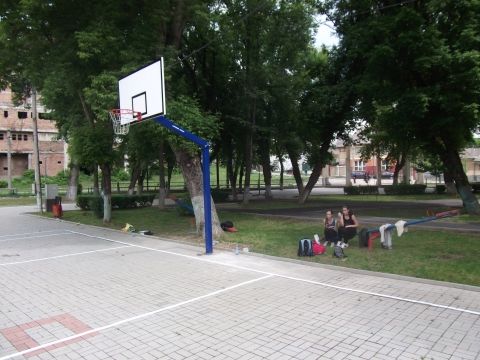 36670-cos-baschet-pentru-a