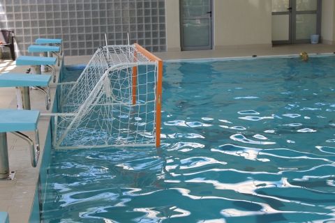 43439-poarta-si-plasa-polo