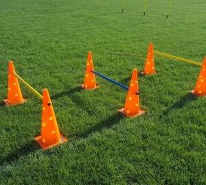 CONURI ANTRENAMENT CU GAURI,INALTIME 45 CM, COD 4982