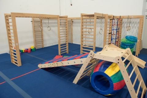 99329-brachiation-ladder-a