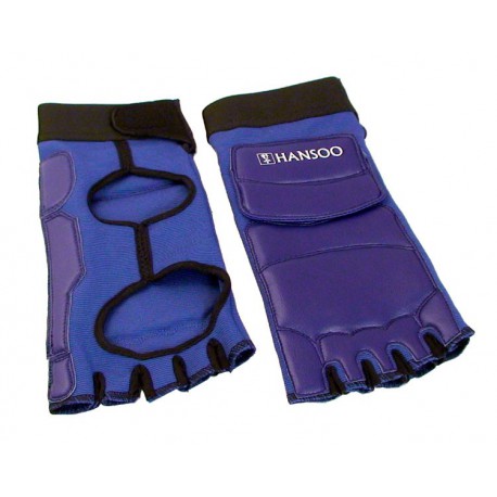 botosei-taekwondo-hansoo
