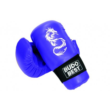 manusi-kick-boxing