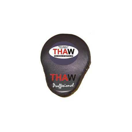 palmare-thaw-curbe