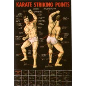 Poster arte marțiale H-218 - Puncte Vitale