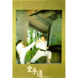 Poster arte marțiale H-222 - Karatedo „Templu”