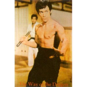 Poster arte marțiale H-230 - Bruce Lee