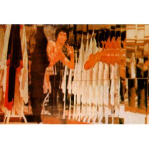 Poster arte marțiale H-233 - Bruce Lee