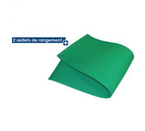 Saltea aerobic cu 2 ochiuri suport perete, 150x50 cm