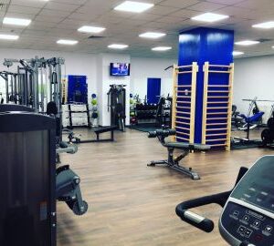 Spalier gimnastica 2.30 m  x 85 cm