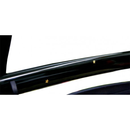 taiko-soshu-kitae-shinken