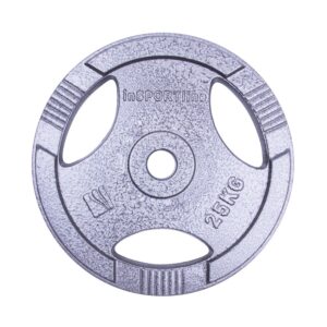 Greutate otel inSPORTline Hamerton 25 kg