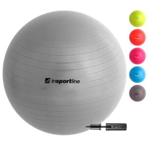 Minge aerobic Top Ball 55 cm