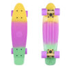 Penny Board Fish Classic 3Culori 22?