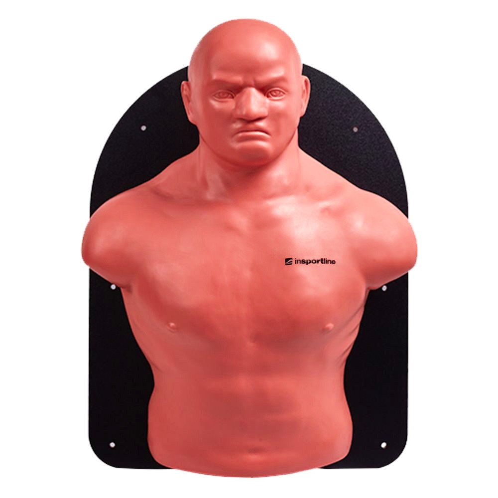 sac-de-box-cu-montare-pe-perete-insportline-jondevale